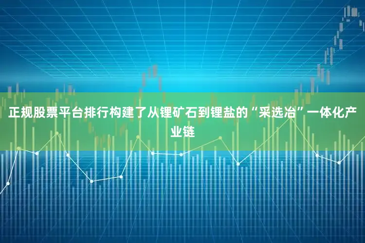 正规股票平台排行构建了从锂矿石到锂盐的“采选冶”一体化产业链