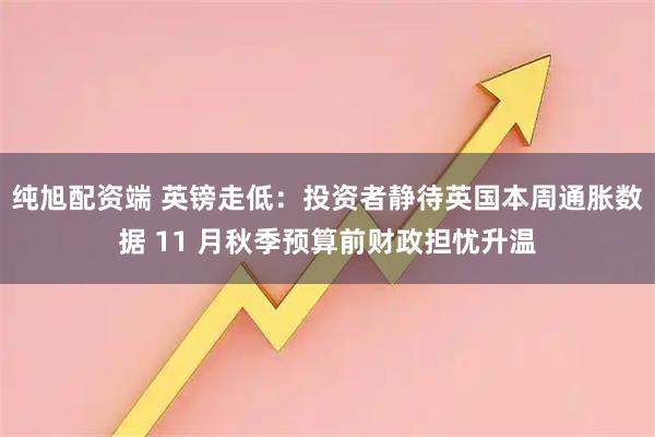 纯旭配资端 英镑走低：投资者静待英国本周通胀数据 11 月秋季预算前财政担忧升温