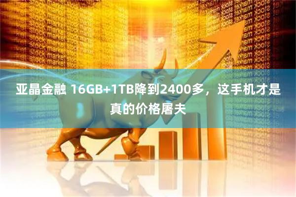 亚晶金融 16GB+1TB降到2400多，这手机才是真的价格屠夫