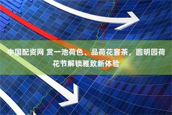 中国配资网 赏一池荷色、品荷花窨茶，圆明园荷花节解锁雅致新体验