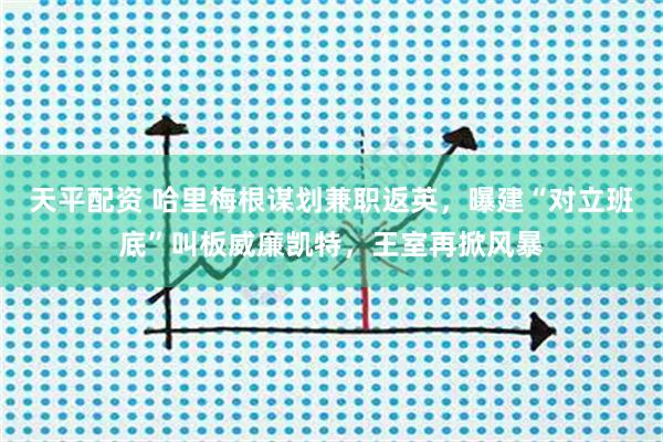 天平配资 哈里梅根谋划兼职返英，曝建“对立班底”叫板威廉凯特，王室再掀风暴