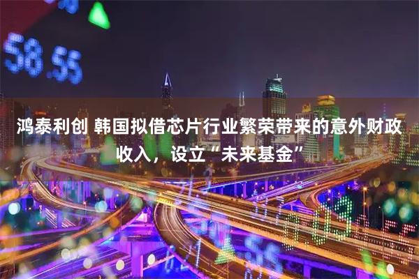 鸿泰利创 韩国拟借芯片行业繁荣带来的意外财政收入，设立“未来基金”