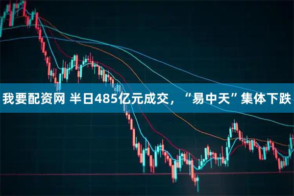 我要配资网 半日485亿元成交,“易中天”集体下跌